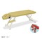 mini photo