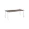 mini photo