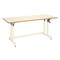 mini photo