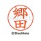 mini photo