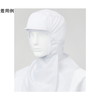 jp@炢@tt[hLbv