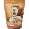 茺