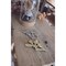 mini photo