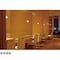 mini photo