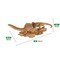mini photo