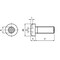 mini photo
