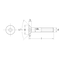 mini photo