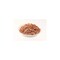 mini photo