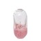 mini photo