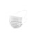 mini photo