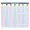 mini photo
