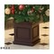 mini photo