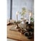 mini photo