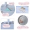 mini photo
