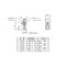 mini photo