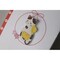 mini photo