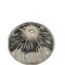 mini photo