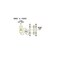 mini photo