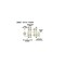 mini photo
