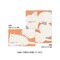 mini photo