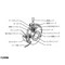 mini photo