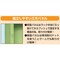 mini photo