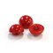 mini photo