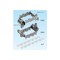 mini photo