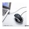 mini photo