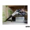 mini photo