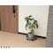mini photo