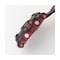 mini photo