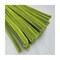 mini photo