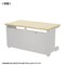 mini photo
