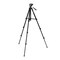 mini photo