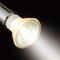 mini photo