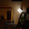 mini photo