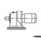 mini photo