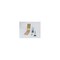 mini photo