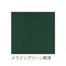 mini photo