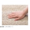 mini photo