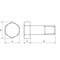 mini photo