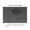 mini photo