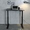 mini photo