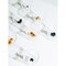 mini photo