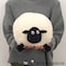 mini photo
