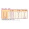 mini photo