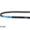 mini photo