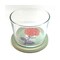 mini photo