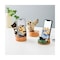 mini photo